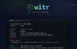 witr screenshot 1