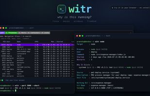 witr screenshot 3