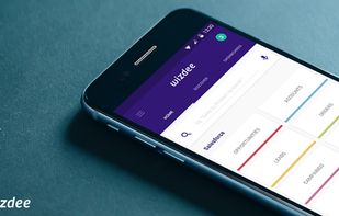 Wizdee screenshot 2