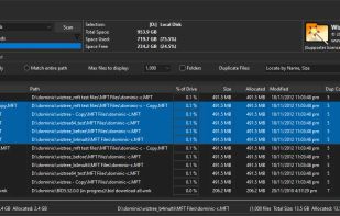 WizTree screenshot 2