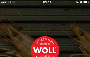 WOLL screenshot 1