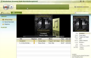 Wondershare Streaming Audio Recorder screenshot 2