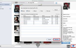 Wondershare TidyMyMusic screenshot 2