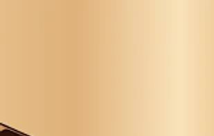 Wood Block Puzzle FREE Meditation Game