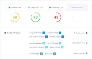 Woorank screenshot 2