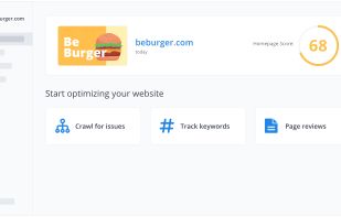 Woorank screenshot 1