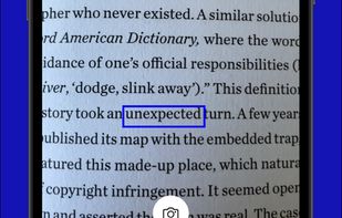 Word Capture screenshot 1