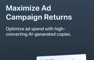 Maximise ad  campaign returns.