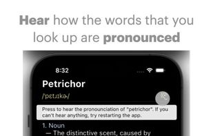 WordDefiner screenshot 2