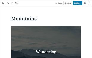 Wordpress Gutenberg screenshot 2