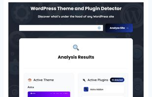 WordPress Theme and Plugin Detector screenshot 1