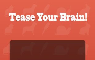 WordSearch Challenge screenshot 2