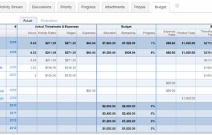 Record expenses and time, and track your project budget and billing details.