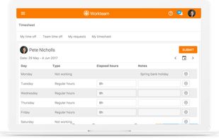 Workteam Time & Attendance screenshot 1