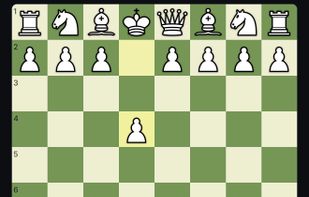 WSL online chess interface with a classic starting position, interactive board, and in-browser play.