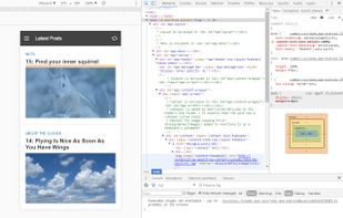 WP-AppKit screenshot 1