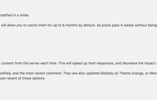 WP Engine Advanced Cache screenshot 1