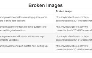 Find broken images and links before your site visitors do.