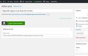 WP Link Bio - Add/Edit Link