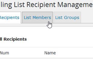 WP Mailster screenshot 2