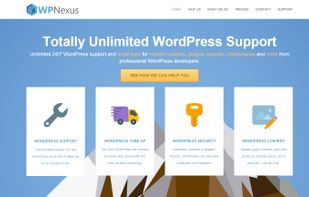 WP Nexus screenshot 1