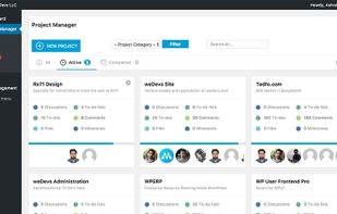 WP Project Manager screenshot 1