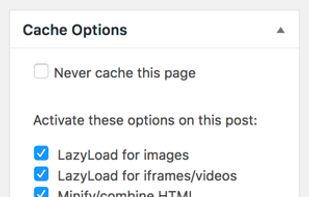 WP Rocket screenshot 1
