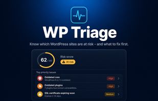 WP Triage screenshot 1
