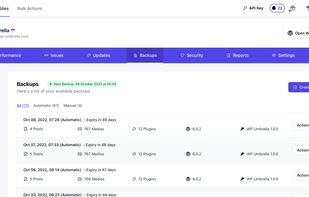 WP Umbrella's backup