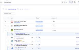 WP Umbrella's bulk actions