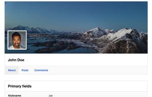 WP User Manager screenshot 2