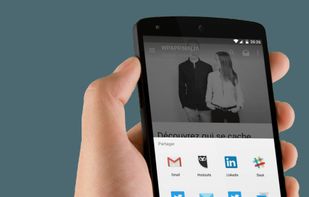 WPAPP.NINJA screenshot 3