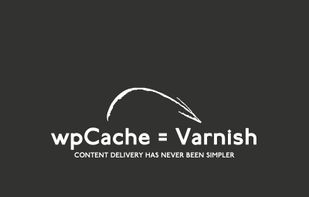 wpCache screenshot 1