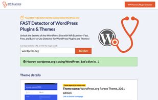 WP Theme & Plugins Detector in use