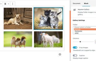 WPFileo - WordPress Media Library Plugin screenshot 1