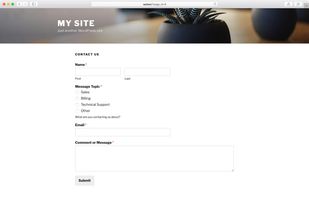 WPForms screenshot 2