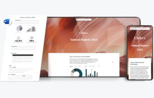 Picture of Wrepit product, desktop and mobile