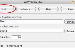 Step 2: Click the 'Start' button.