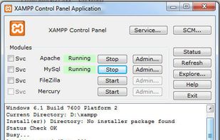 Xampp interface