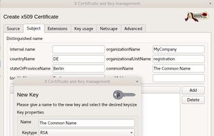 xca - X Certificate and Key management screenshot 3
