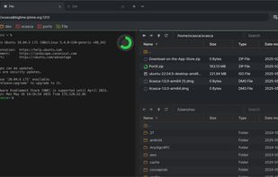 Xcasca screenshot 3