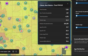 Demographic details of an area in USA