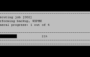 ©XSIBackup screenshot 3