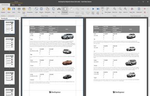 WinForms Report Viewer