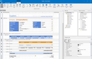 WinForms End-User designer