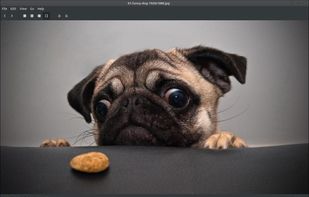 Xviewer screenshot 1