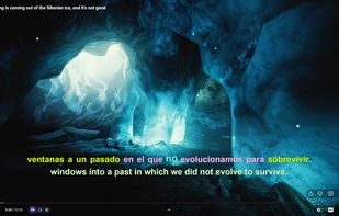 Bilingual YouTube subtitles with synchronized word-by-word highlighting.