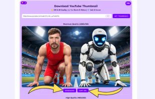 Download option of picknar thumbnail downloader 
One is download in different resolution and other one is image link copy option.