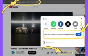 Copy link from youtube and paste it on picknar thumbnail downloader
