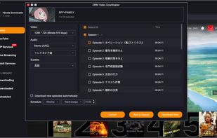New feature: Download New Episodes Automatically.
